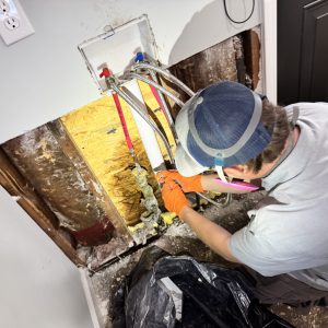 Mold Remediation, Hampstead, NC