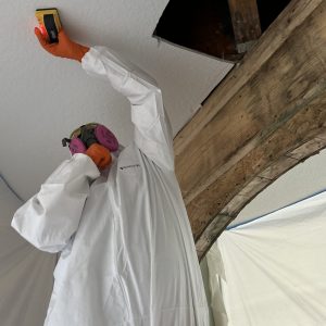 Mold Restoration, Surf City NC