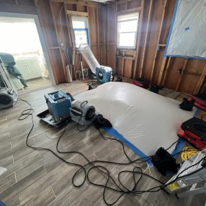 Mold Remediation, Holly Ridge NC
