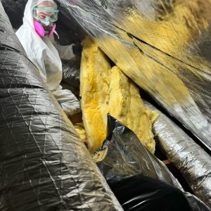 Mold Remediation, Holly Ridge NC