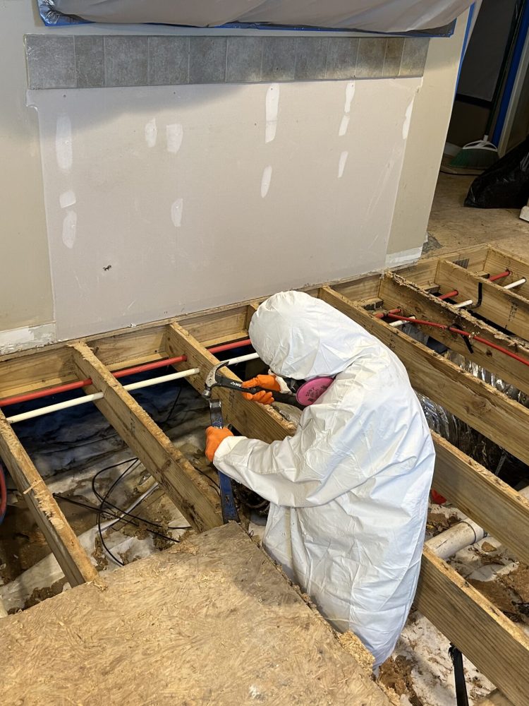 Mold Remediation, Holly Ridge, NC
