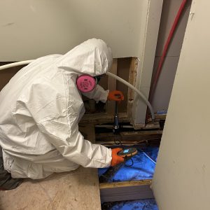Mold Remediation, North Topsail Beach, NC